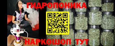 Альфа ПВП Бердск