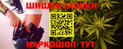 Альфа ПВП Бердск