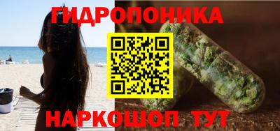 Альфа ПВП Бердск