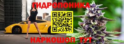 хмурый Белореченск